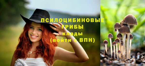 jwh Пестово