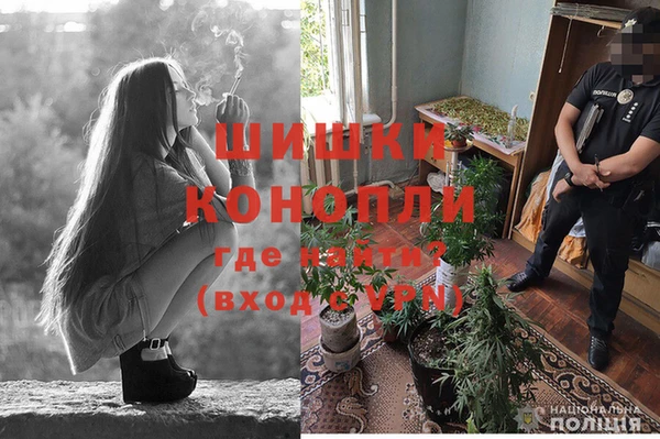 дживик Грязовец