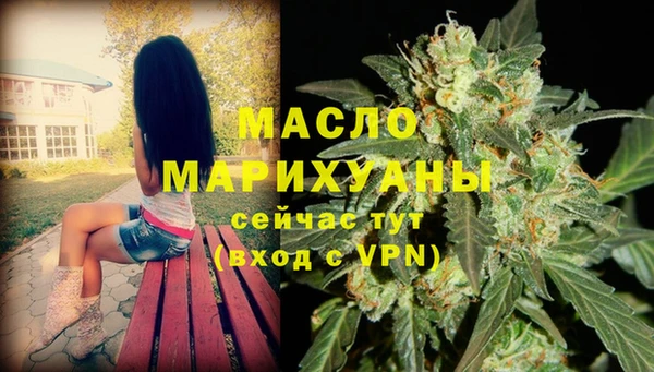сатива Губаха